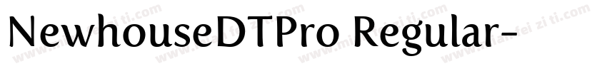 NewhouseDTPro Regular字体转换